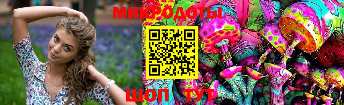 Ефремов  Псилоцибиновые грибы Cubensis  Псилоцибиновые грибы мицелий  Вход с VPN 